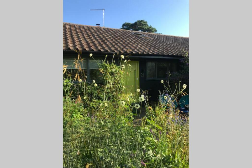 The Yellow Door Whitstable - Peaceful Retreat Close To Beach 外观 照片